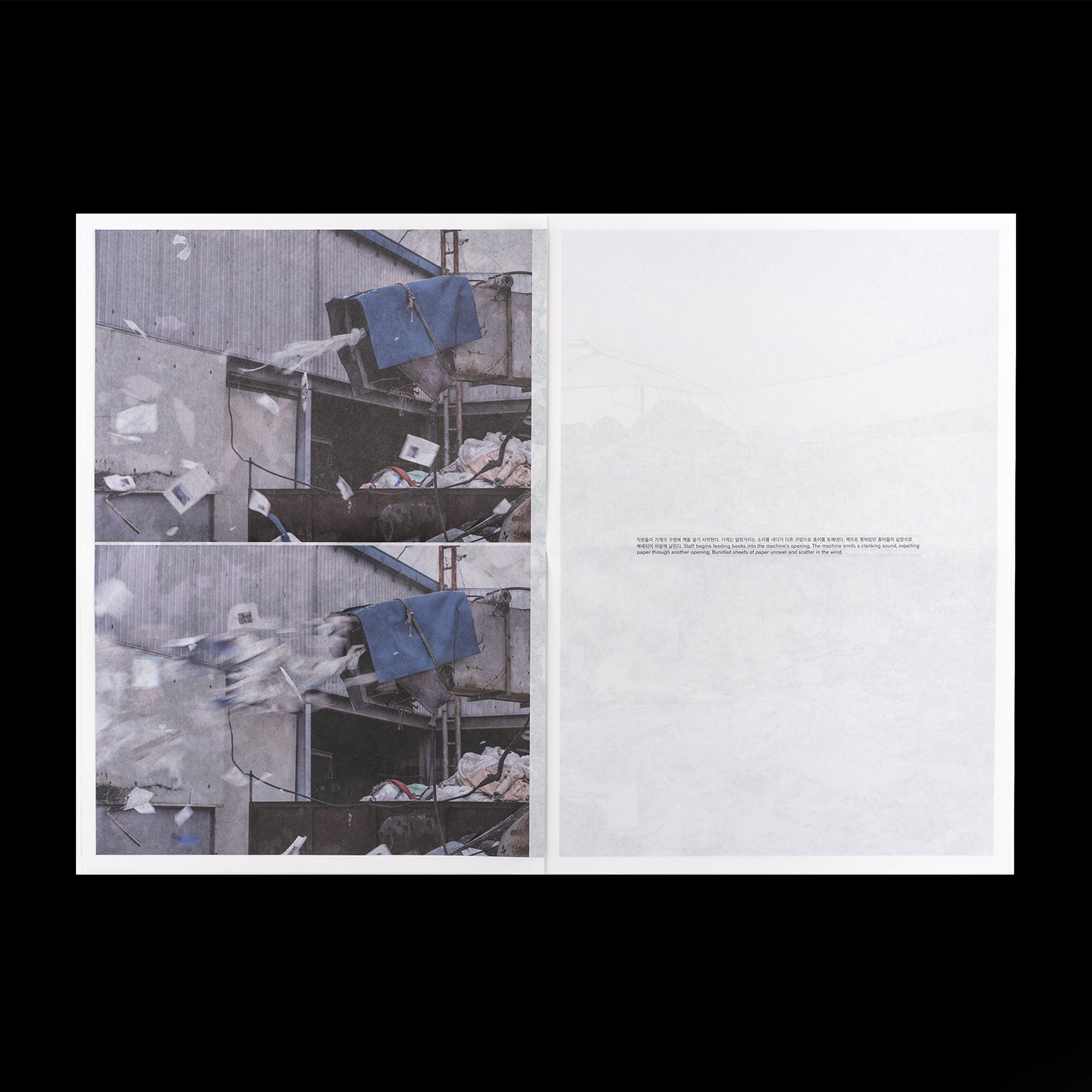 Pages Scattering to Death