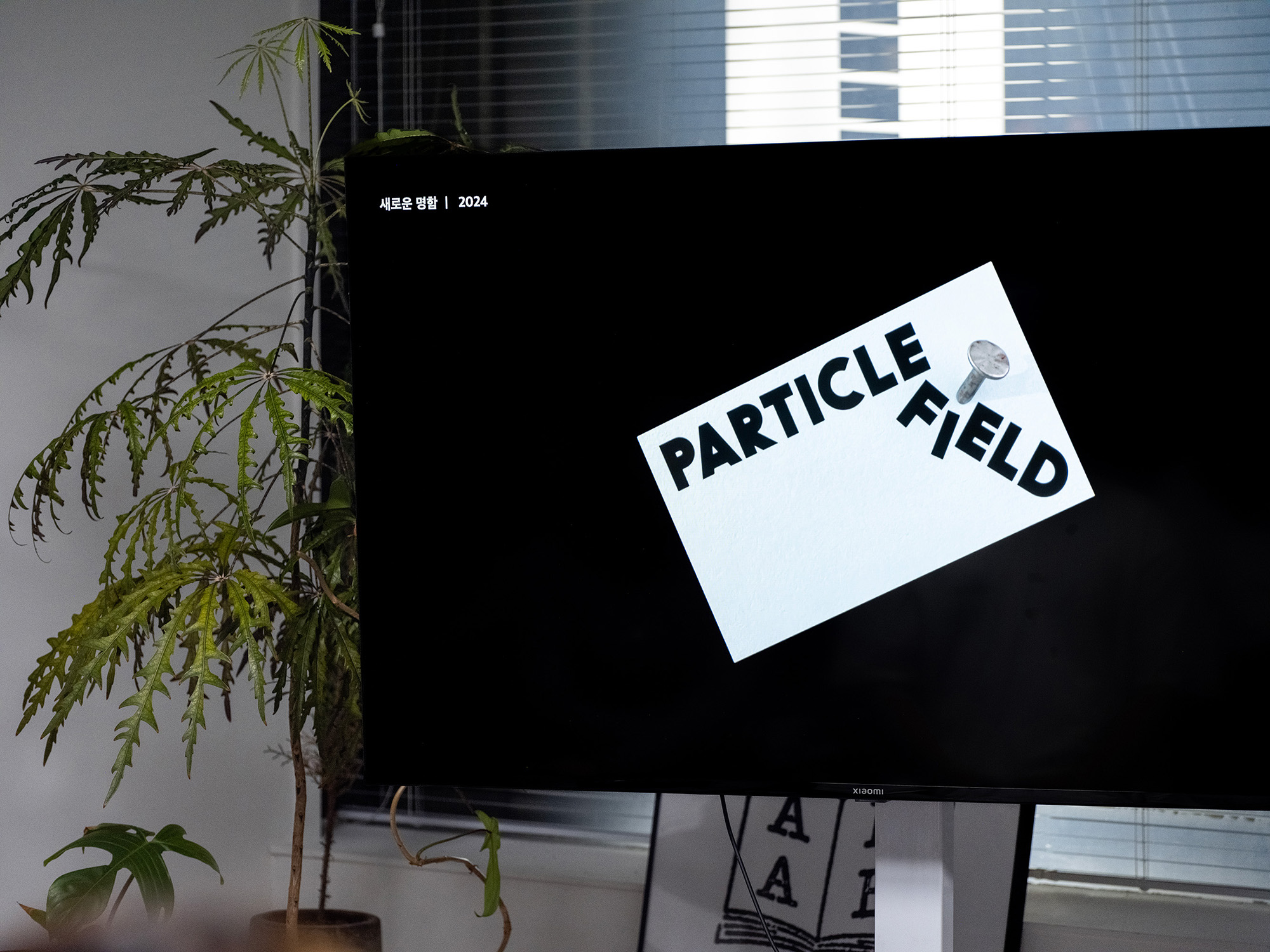 CC Seminar 12. Particlefield