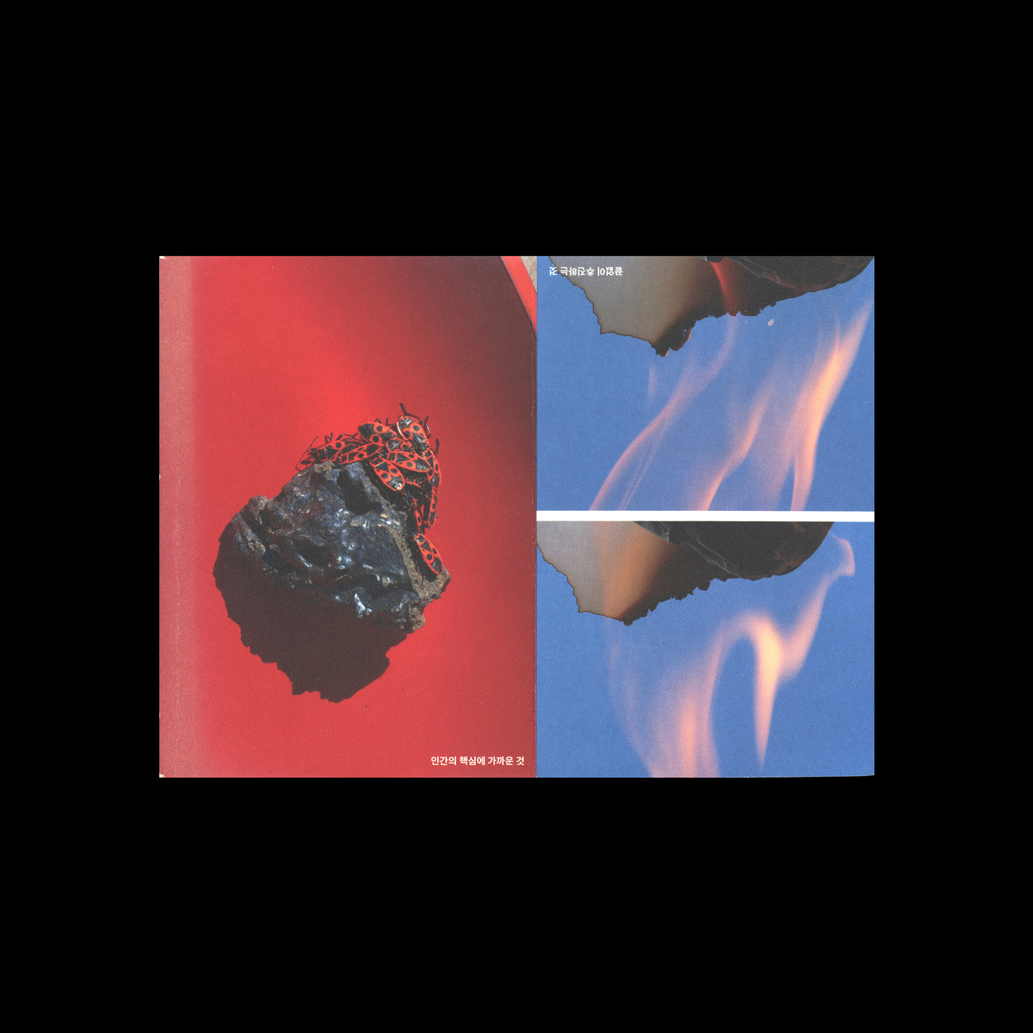 리서치란 무엇인가?